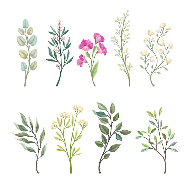 Set of branches with different leaves and wildflowers Vector illustration on a white background