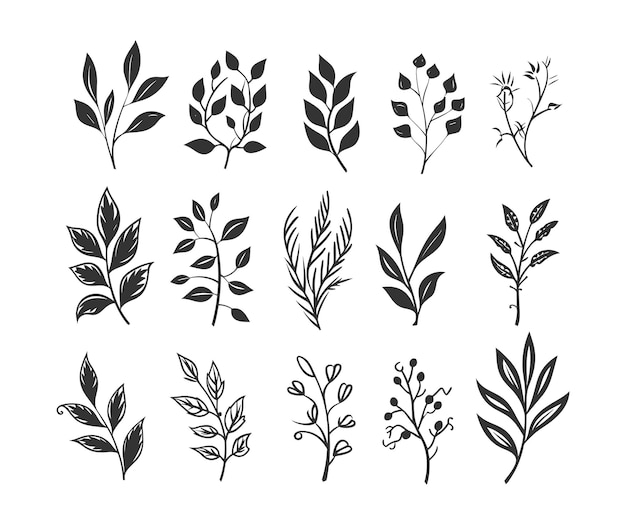 Vector set of branches with leaves collection of decorative floral elements natural herbs