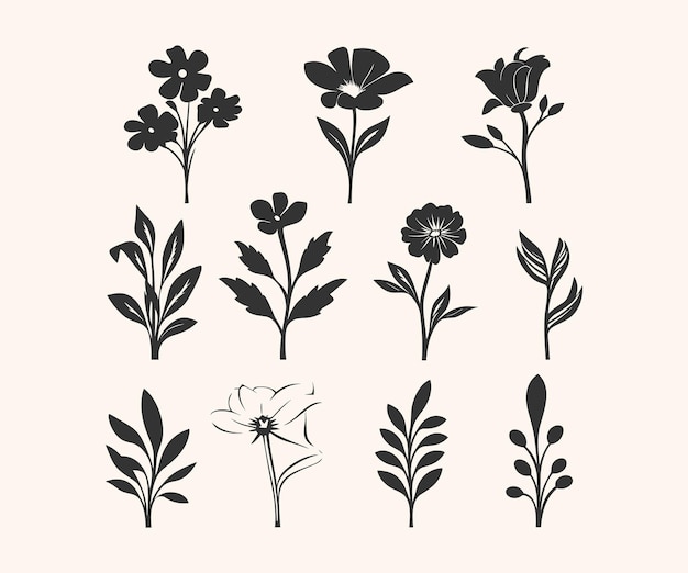 Vector set of branches with leaves collection of decorative floral elements natural herbs