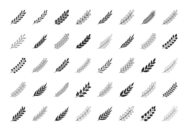 Vector set of branches with leaves collection of hand drawing tree branches