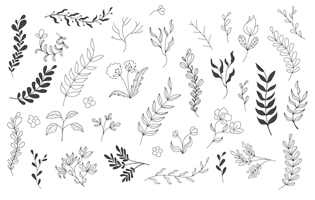 Set of branches with leaves and flowers on isolated background Decorative Elements for Decoration