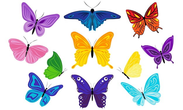 A set of bright and beautiful butterflies with patterns on the wings