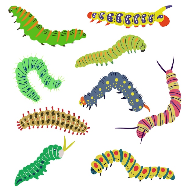 Vector set bright caterpillars