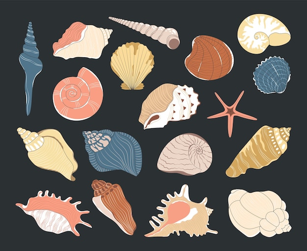 Vector set of bright different seashells in flat style handdrawn