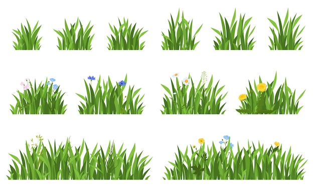 Set of bright grass with flowers Vector illustration on a white background