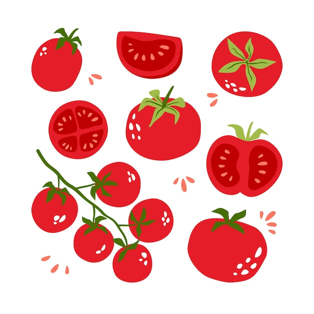 Set of bright juicy tomatoes Can be used for menu packaging textiles Vector illustration isolated on white background