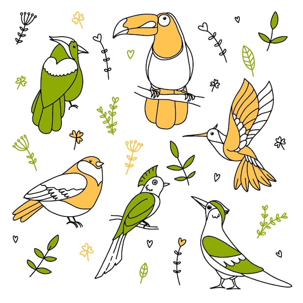 set of bright tropical fantasy birds of paradise in doodle style with floral