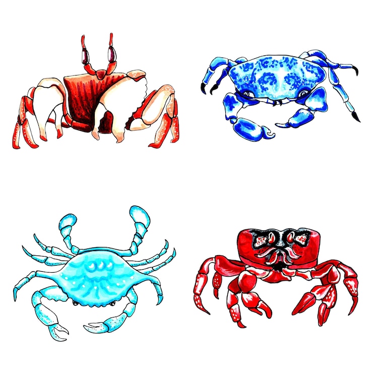 Vector set of brown, blue, red and aqua color crabs  isolated on transparent background.