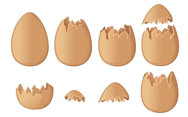 Set di gusci d'uovo marroni interi e incrinati o rotti gusci piatti illustrazione vettoriale isolato su sfondo bianco