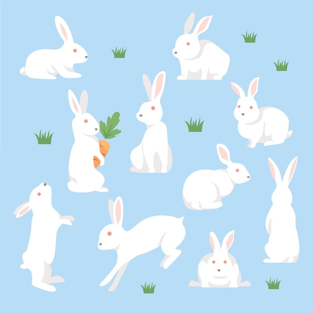 Set of bunny illustration with different poses