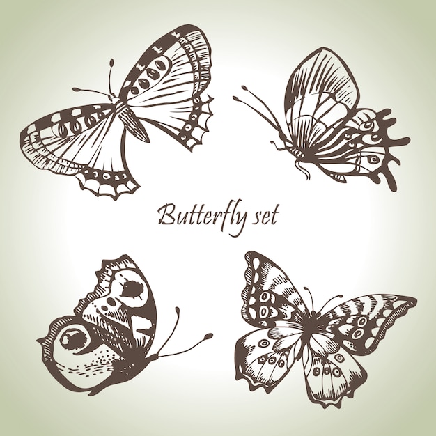 Set of butterfly. hand drawn illustrations