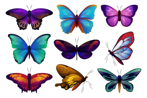 Vector set of butterfly or moth butterfly icons vector