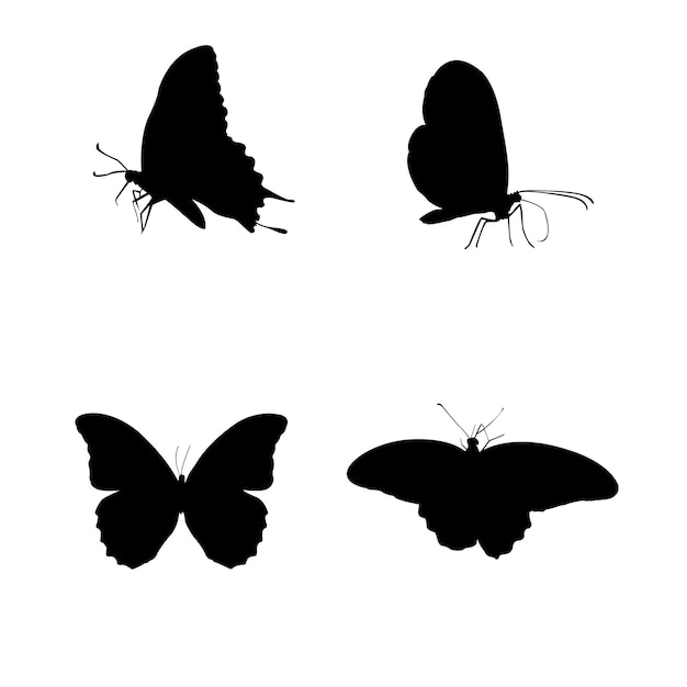 Set of Butterfly silhouette