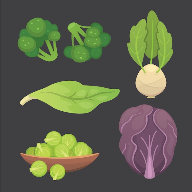 Vector set cabbage and lettuce