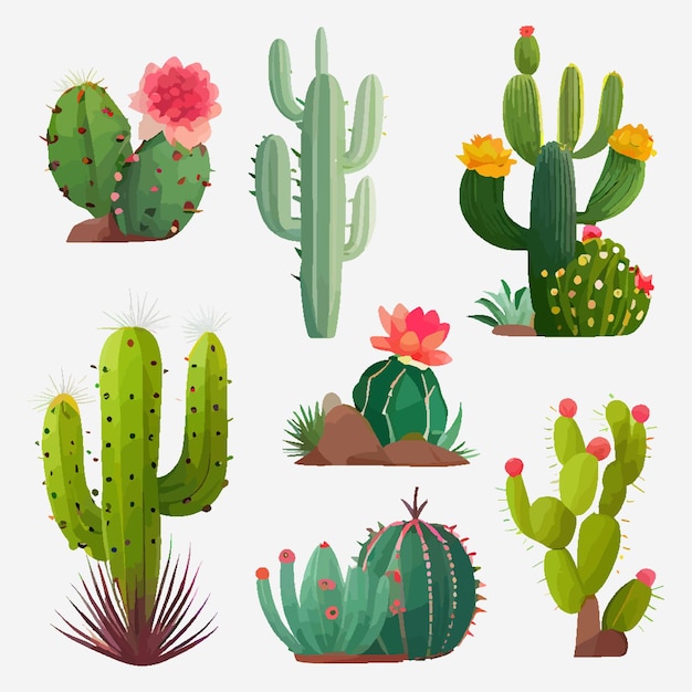 Set of cacti in cartoon flat style isolated on white background. Cactus in pots and flowers. Cactus