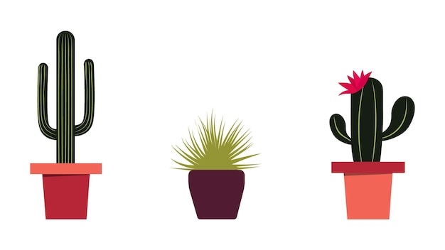 Vector a set of cacti in a flat style vector illustration