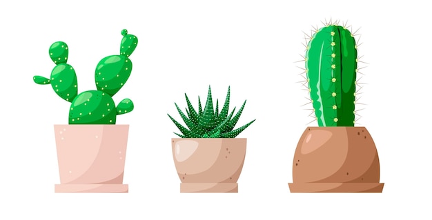 A set of cacti in pots on a white background cartoon design