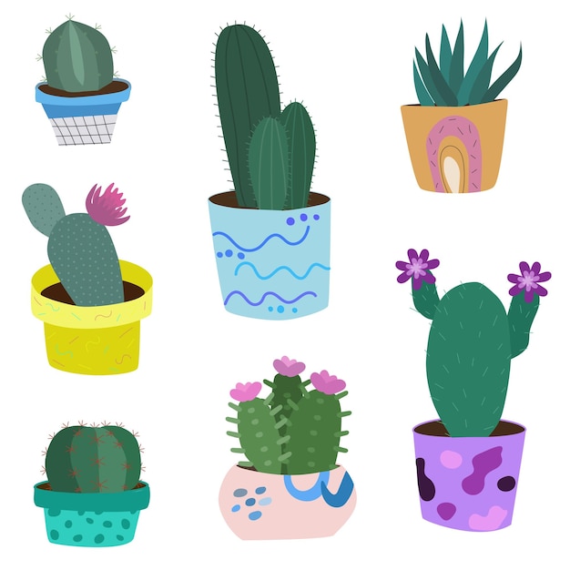 Vector set of cactus in colorful pots with flowers.  flat design