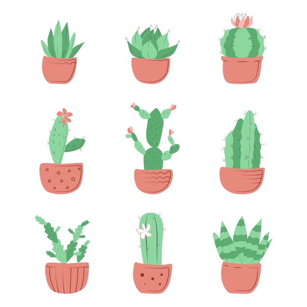 Set cactus flowers in pink pots Doodle illustration on white background