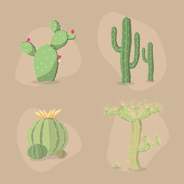 Vettore set di collezione di illustrazioni di cactus