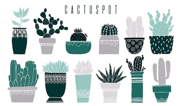 Set cactus pot and succulent in sketch style.