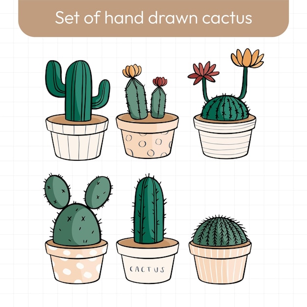 set of cactus in the pot  with colors