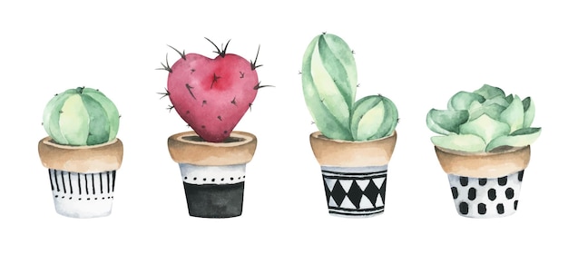 Insieme dell'illustrazione dell'acquerello in vaso di cactus