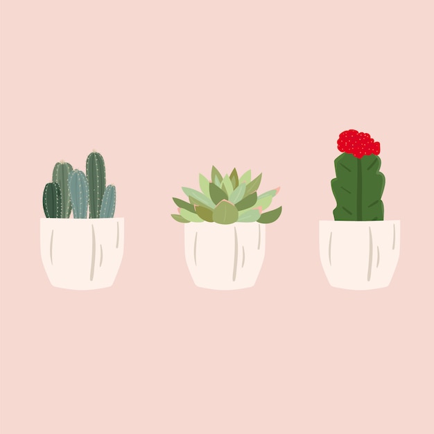 Vettore set di piante grasse di cactus. carino illustrazione vettoriale alla moda