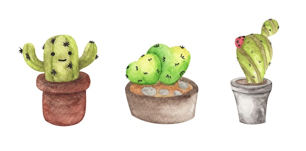 Insieme di cactus. illustrazione dell'acquerello.