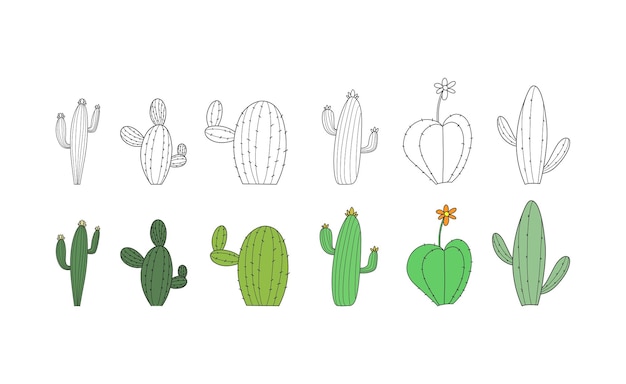 Set of cactus on white background