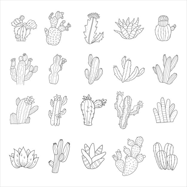 Set of cactus with flowers. hand drawn illustration converted to vector, doodle style line drawing