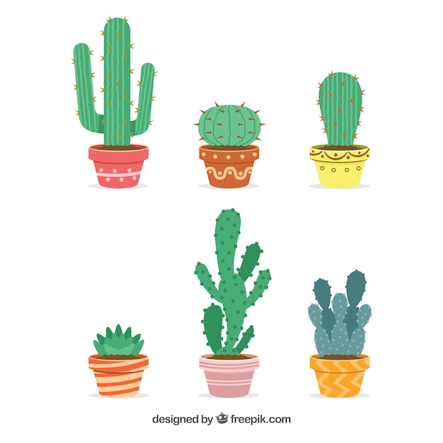 Set di cactus con decorazioni floreali piacevoli