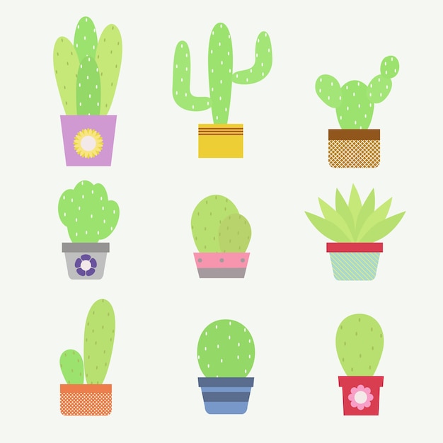 Set of Cactus with Various Shapes