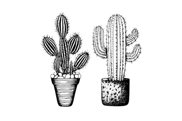 Set of cactuses hand drawn ink sketch Engraving style vector illustration