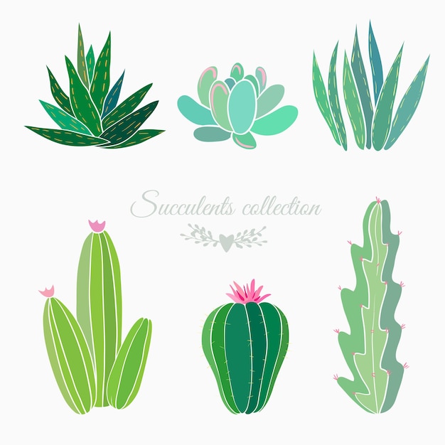 Набор кактусов и суккулентов, изолированные на белом, векторные иллюстрации
