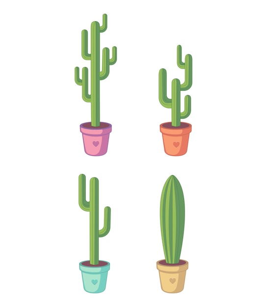 Set cactussen