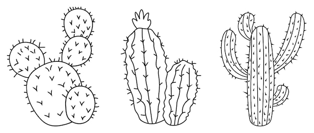 Set cactustekeningen cactusset