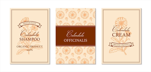 Set of calendula packaging design with hand drawn elements Vector illustration in sketch style