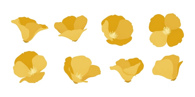Vector set of california poppy blooming flowers illustration