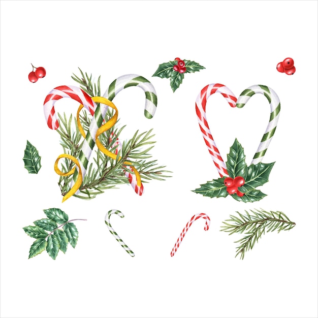 Vector set of candy canes spruce branch with gold ribbon caramel decorated with holly and berries