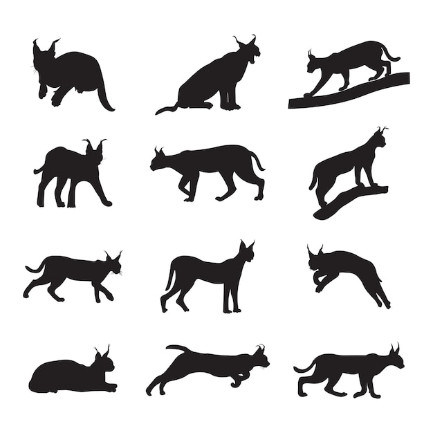 Set caracal kat silhouet vectorillustratie