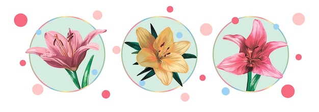 Set of cards with lily flowers. Green leaves, buds, yellow and pink flowers. Vector illustration.