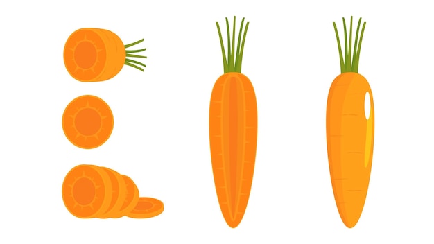 Установите вектор нарезанной моркови и целую морковь Свежие мультяшные овощи изолированы