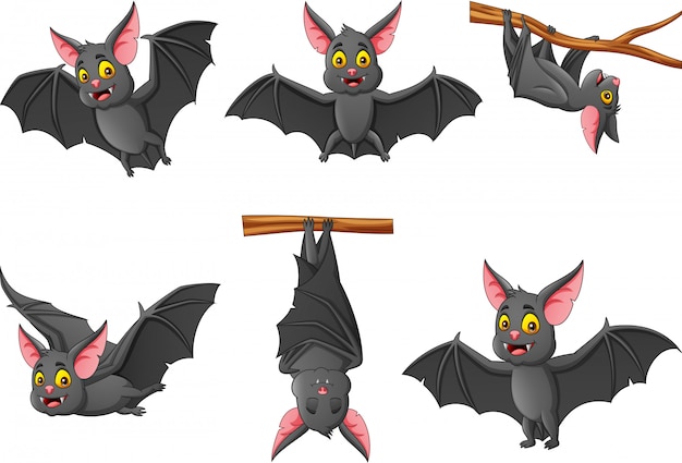 Set of cartoon bat with different expressions