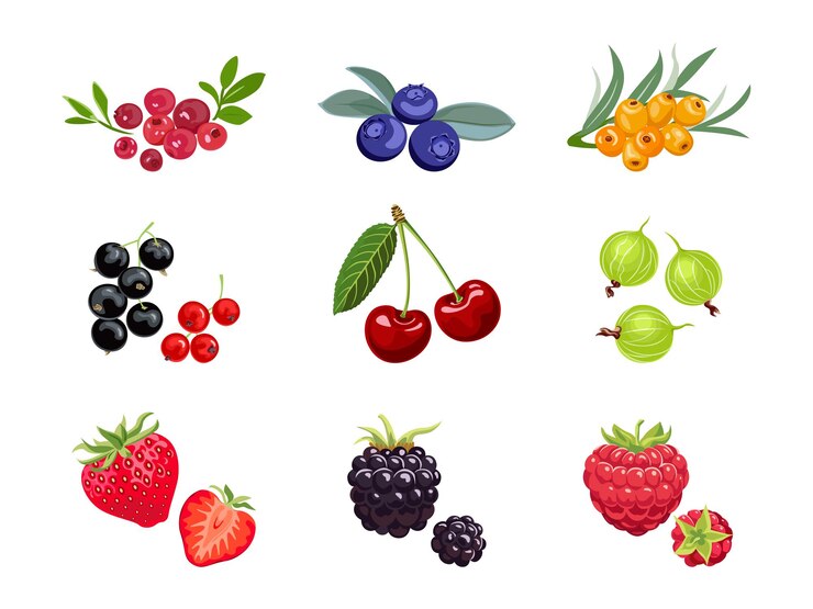 Vector set cartoon bes.