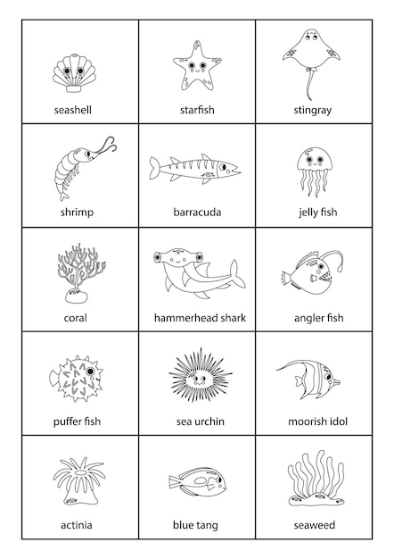 Set of cartoon black and white sea animals with names