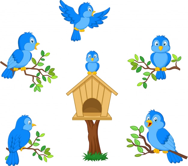 Set di uccello blu cartone animato