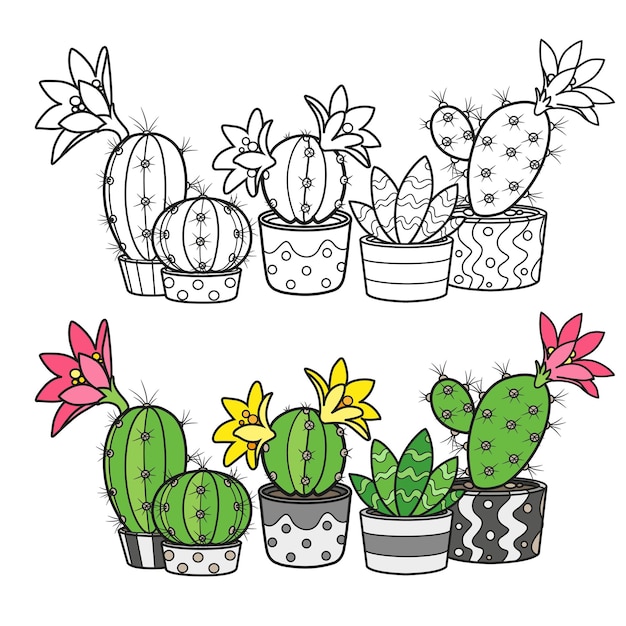 Set of cartoon cacti with flowers in a decorative pots coloring page on white background