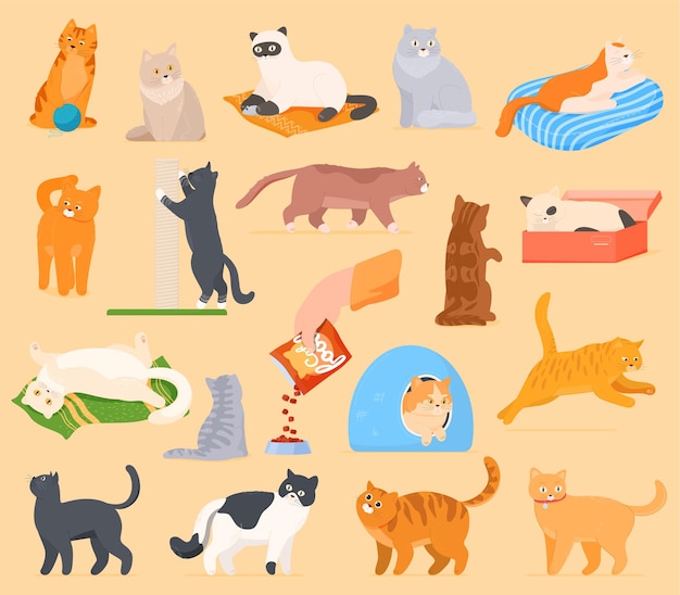 A set of cartoon cats that play, rest, sleep, eat.