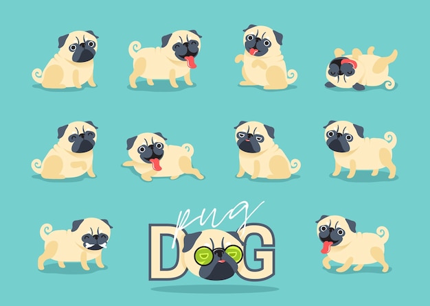 Set of Cartoon character pug dog poses. Cute Pet dog in the flat style. vector illustration